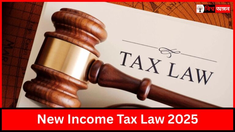 New Income Tax Law 2025
